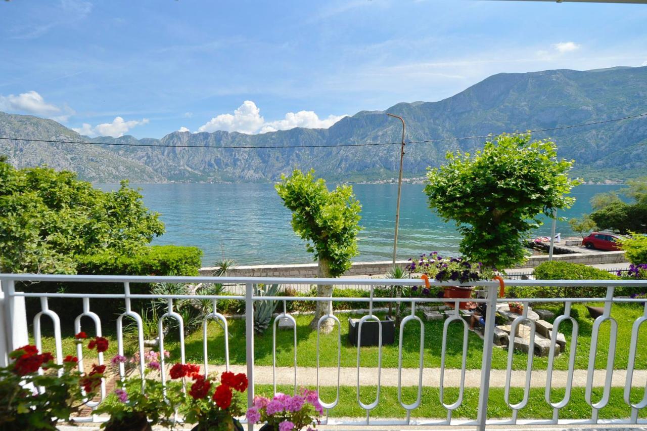 Apartments Ivanović Kotor Buitenkant foto