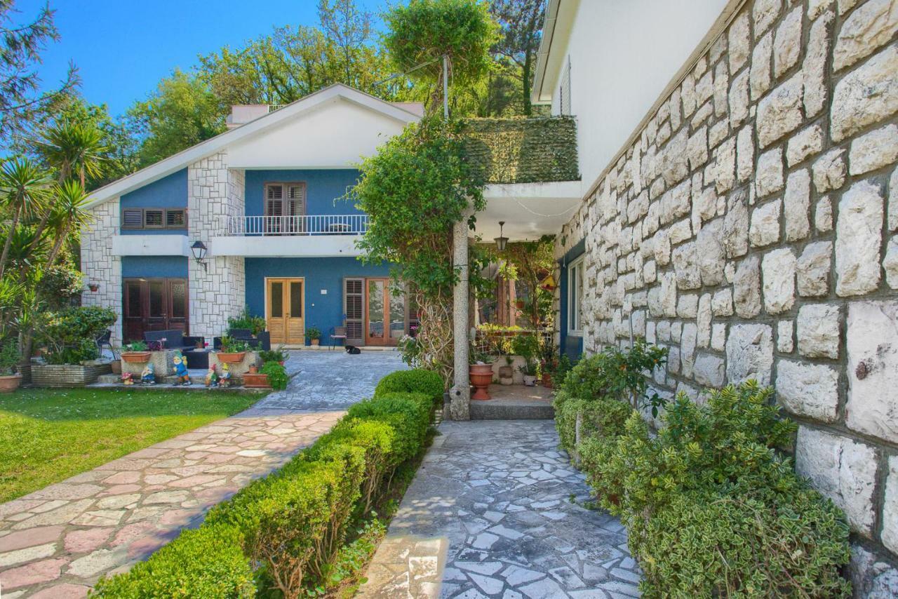 Apartments Ivanović Kotor Buitenkant foto