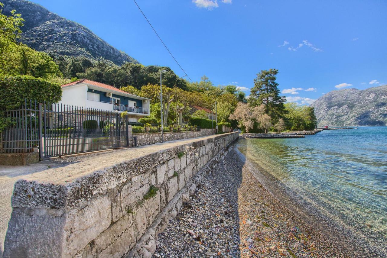 Apartments Ivanović Kotor Buitenkant foto